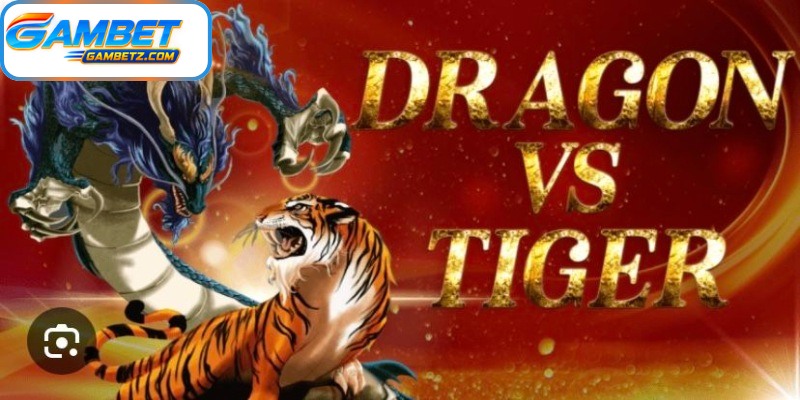 Practical tips for following Dragon Tiger results