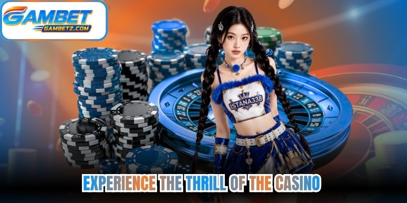 Experience the Thrill of the Casino
