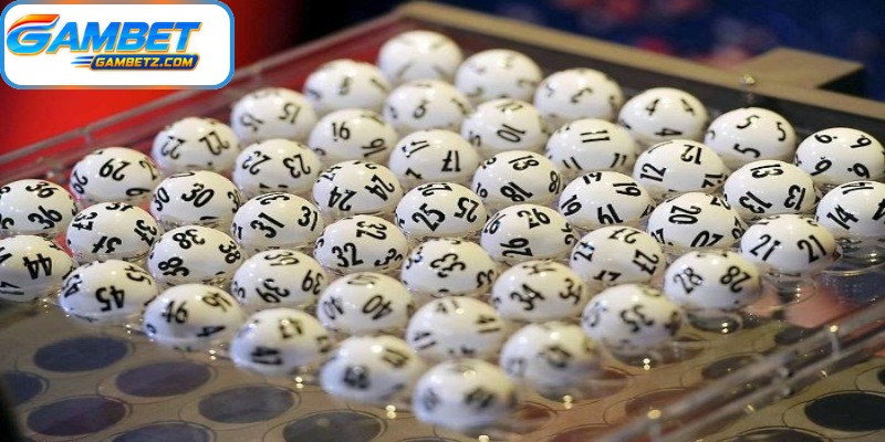Historical data helps users organize and review lottery number activity 